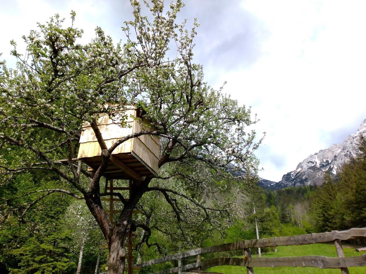 Camping & Glamping Grintovec Preddvor Extérieur photo