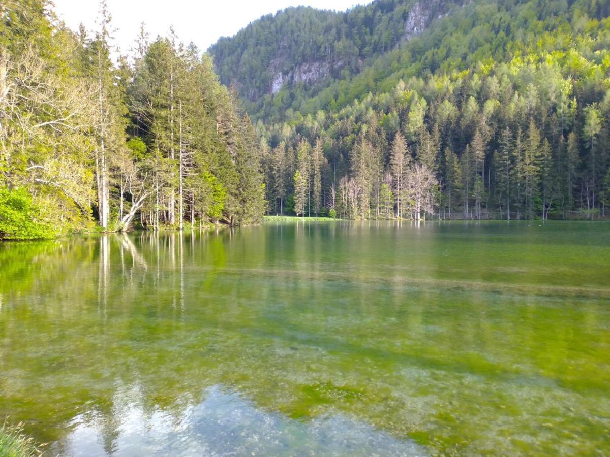 Camping & Glamping Grintovec Preddvor Extérieur photo