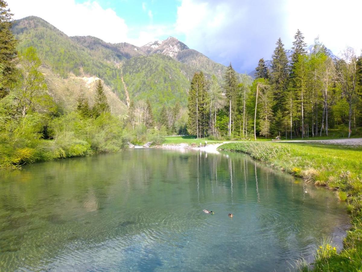 Camping & Glamping Grintovec Preddvor Extérieur photo