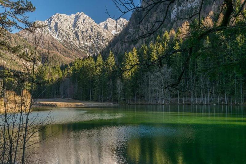 Camping & Glamping Grintovec Preddvor Extérieur photo