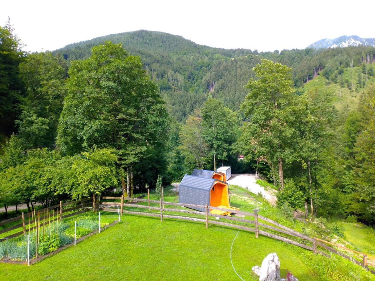 Camping & Glamping Grintovec Preddvor Extérieur photo