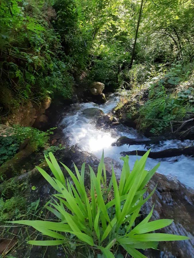 Camping & Glamping Grintovec Preddvor Extérieur photo