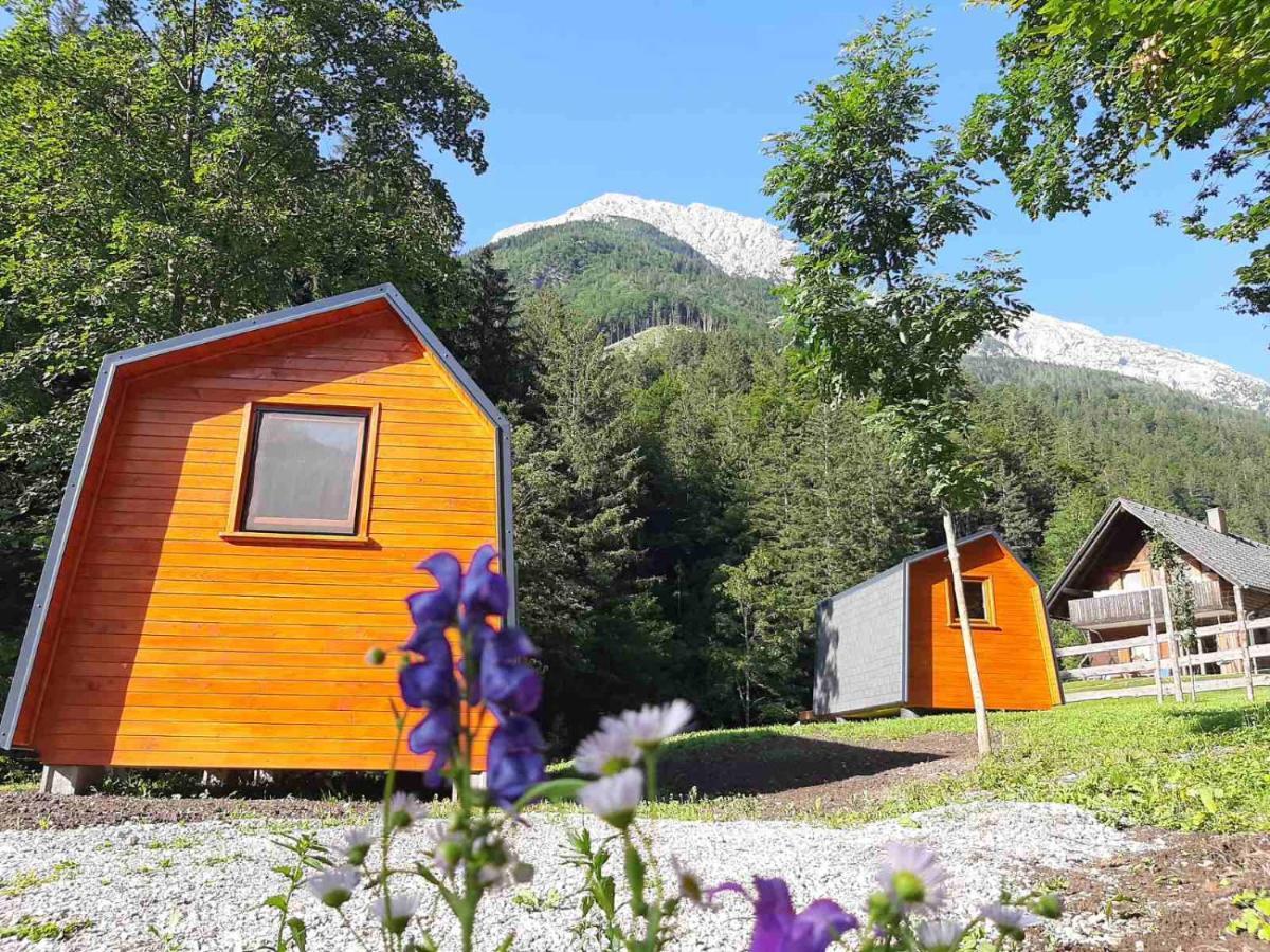 Camping & Glamping Grintovec Preddvor Extérieur photo