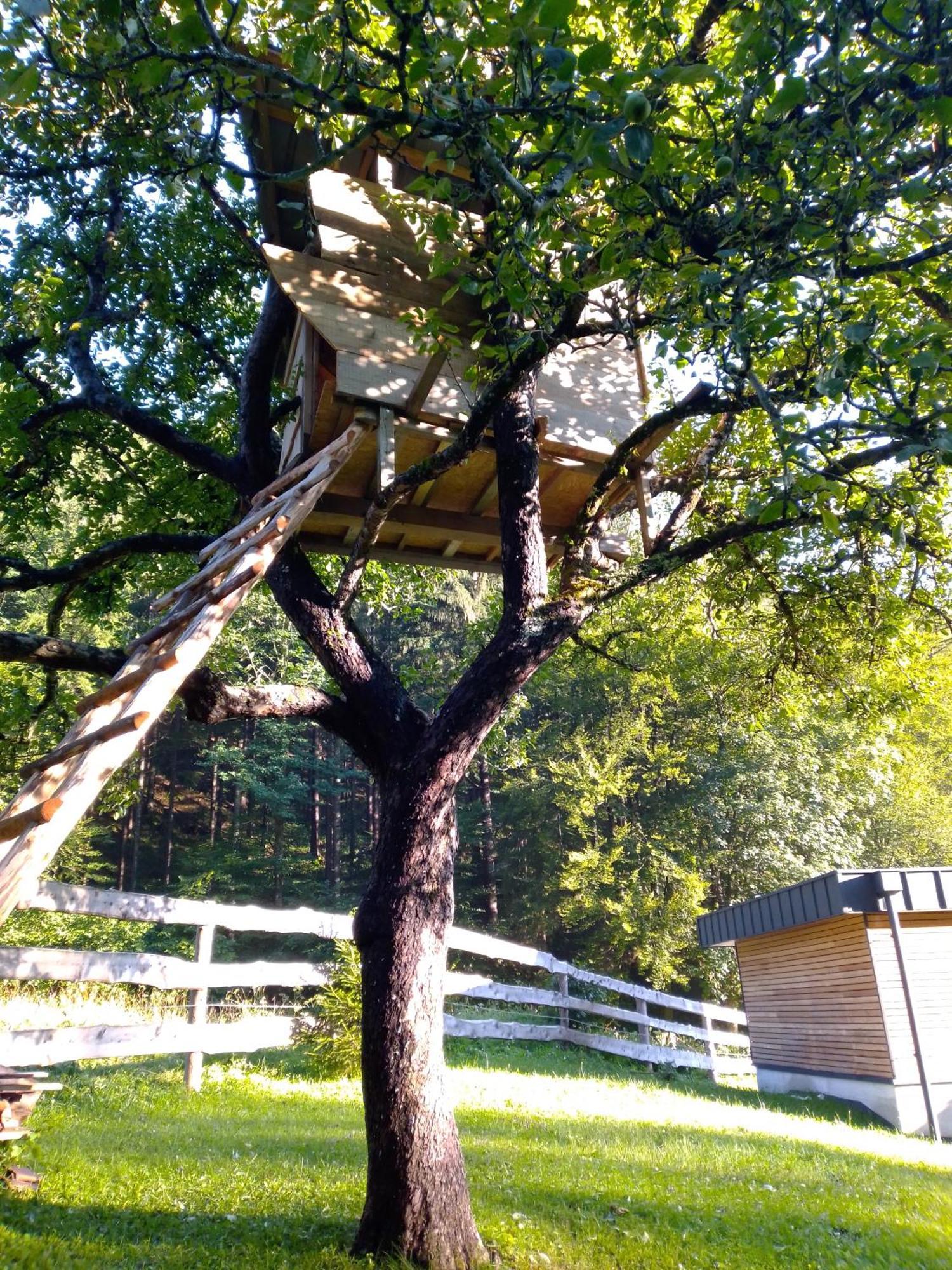 Camping & Glamping Grintovec Preddvor Extérieur photo