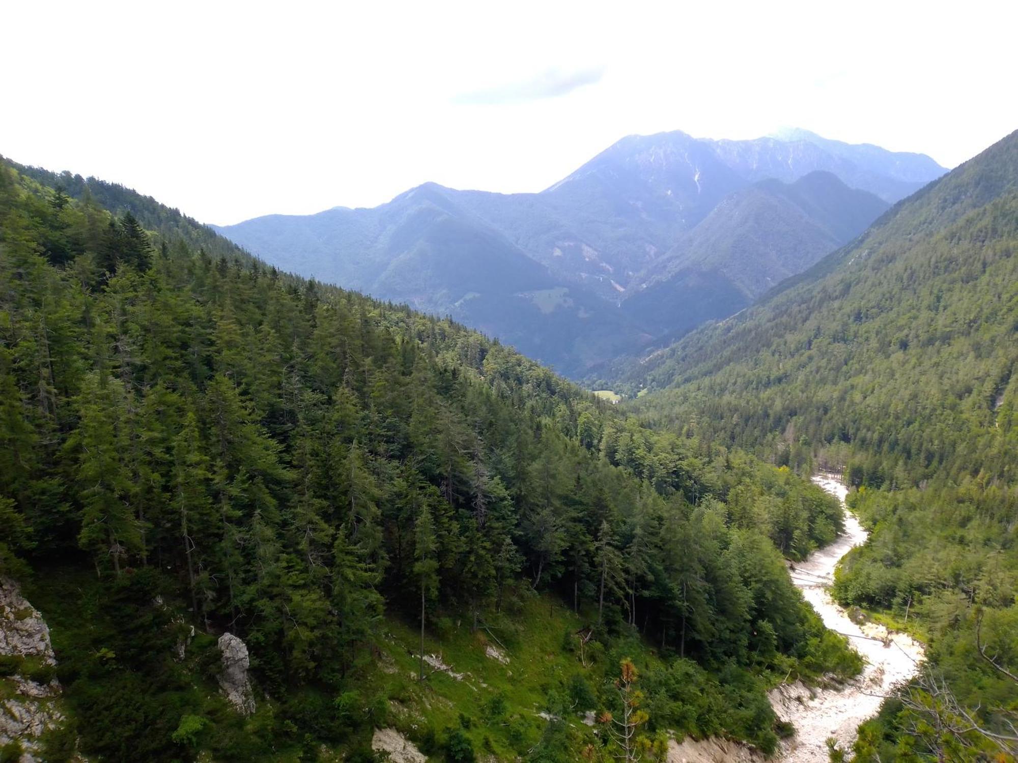 Camping & Glamping Grintovec Preddvor Extérieur photo