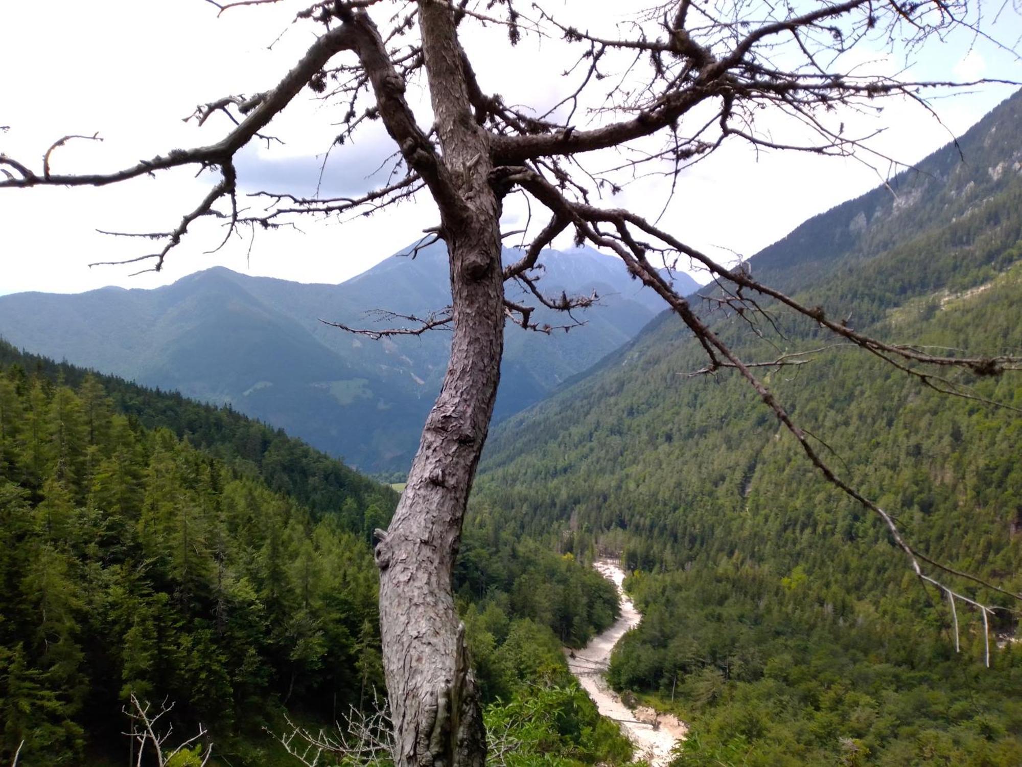 Camping & Glamping Grintovec Preddvor Extérieur photo