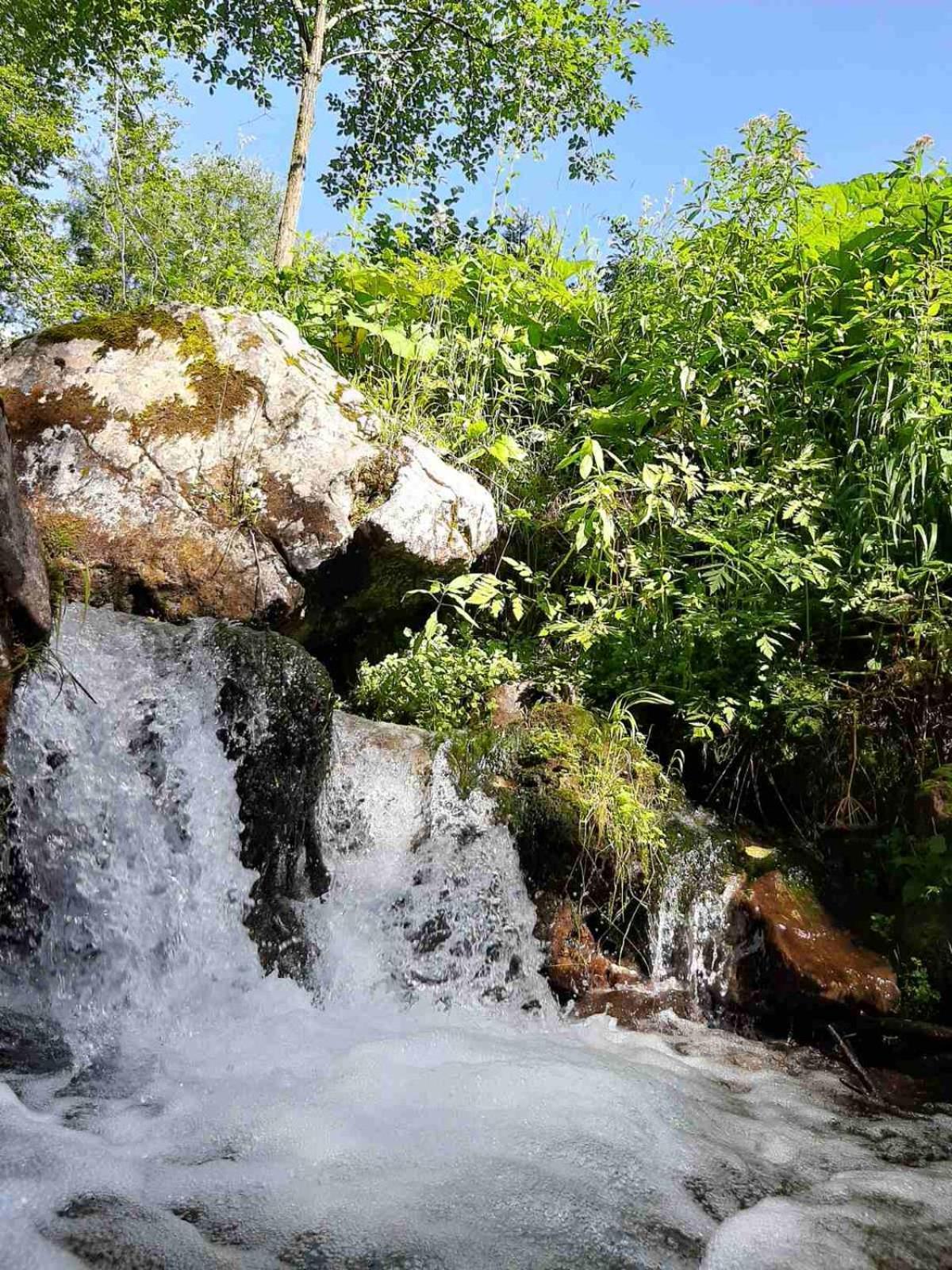 Camping & Glamping Grintovec Preddvor Extérieur photo