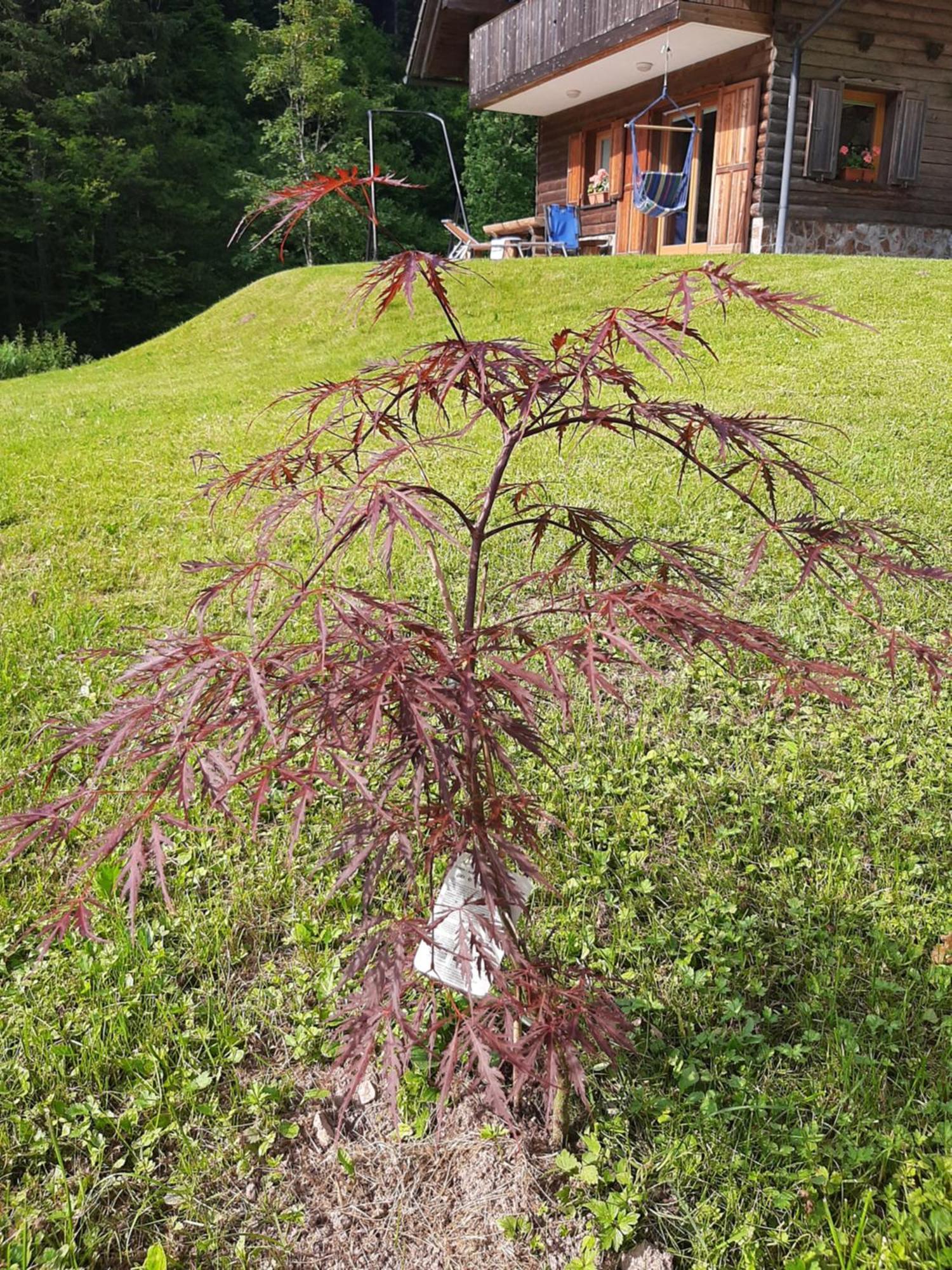 Camping & Glamping Grintovec Preddvor Extérieur photo